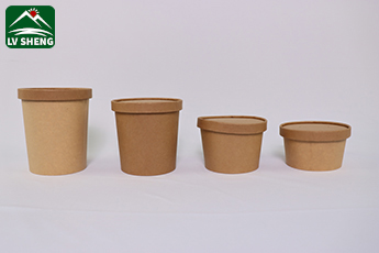 Biodegradable High quality disposable salad bowl disposable soup paper cups
