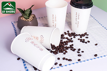 Disposable Double Wall Paper Coffee Cups with Lids